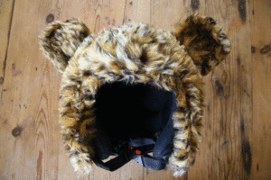 Image of SnowLeopard