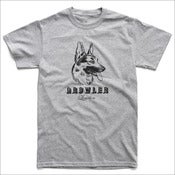Image of Alsatian / Grey