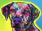 Image of Rhodesian Ridgeback PRINT
