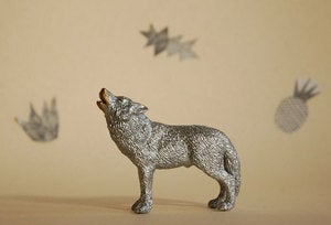 Image of howling wolf//the strange planet