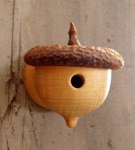 Image of Acorn Birdhouse, rustic woodland look