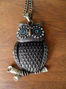 Image of Blue Eyed Owl Necklace