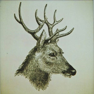 Image of the great prince of the forest