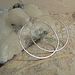 Image of Hoops- Classic Silver