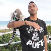 Image of Huff & Puff