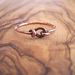 Image of Latch Ring- Copper