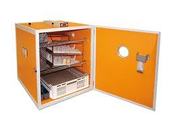 Image of Chicktec 244 Auto