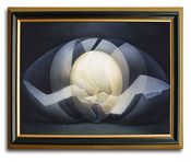 Image of Birth /Marvin Vines