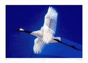Image of In Flight artist Marvines