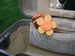 Image of Samsonite "Silhouette" Vintage Wine Colored Carry On 