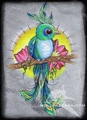 Image of Pretty bird