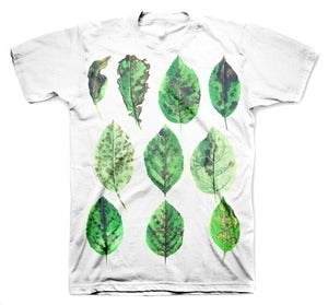 Image of BOTANIST tee shirt