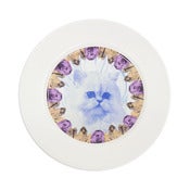 Image of CHRISSIE ABBOTT 'Cat' Plate