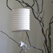 Image of Lampion