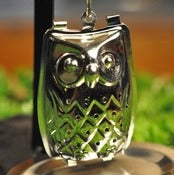 Image of Night Owl Tea Infuser