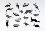 Image of Penelope Kenny<br>Un-natural Selection