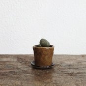 Image of Tiny planter #1 *SOLD*