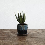 Image of Tiny planter #4 *SOLD*