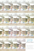 Image of DTP Southern Comfort Collection