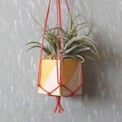 Image of Mini Hanging Planters