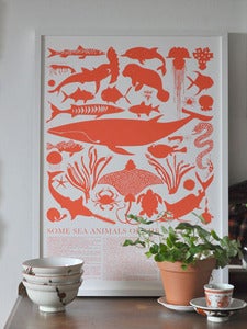 Image of Gulf Coast Sea Animals Print