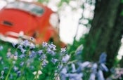 Image of slow travel