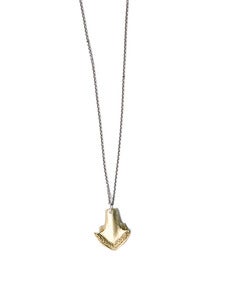 Image of medium brass cod dentary on 22" silver cable-chain (P41silbra22)