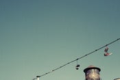 Image of Brooklyn