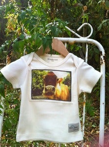 Image of A2 Cow organic t-shirt