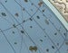 Image of Hyrule Map (Overworld)