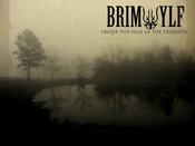 Image of Brimwylf - Under the Sign of the Tridents