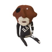 Image of Kevin the biker