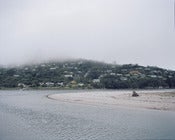 Image of Fog on the Island, New Zealand