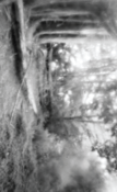 Image of REUBEN SAWYER - Untitled CS