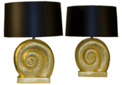 Image of Naughtylus Shells