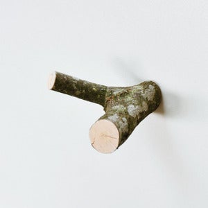 Image of 1 double en noisetier