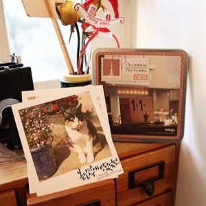 Image of Polaroid postcard tincase set