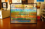 Image of Varnish - transparency