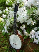 Image of aNueNue Banjolele II Concert with hardcase