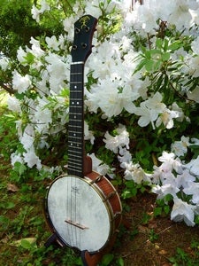 Image of aNueNue Banjolele II Concert with hardcase