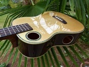 Image of RipTide UB-2N Baritone