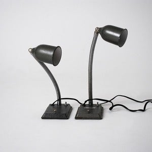 Image of Twin Lamps