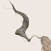 Image of Hidden Landscape 03