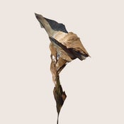 Image of Hidden Landscape 02