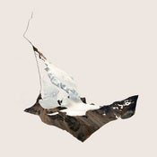 Image of Hidden Landscape 01
