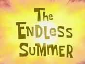 Image of Endless Summer Pack!