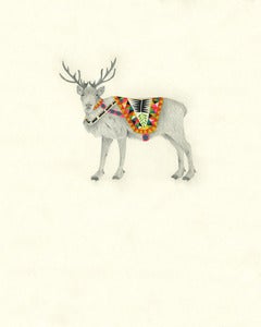 Image of Norwegian Reindeer, Male