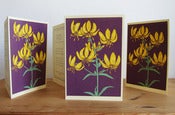 Image of Pack of 4, 'Lilly' Screenprinted Notecards