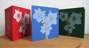 Image of 'Helleborus' greeting cards (pack of 3, screenprinted)