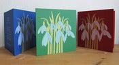 Image of 'Snow drop' greeting cards (pack of 3, screenprinted)